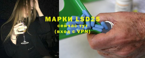 ГАЛЛЮЦИНОГЕННЫЕ ГРИБЫ Лагань