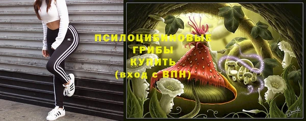 крисы Балабаново